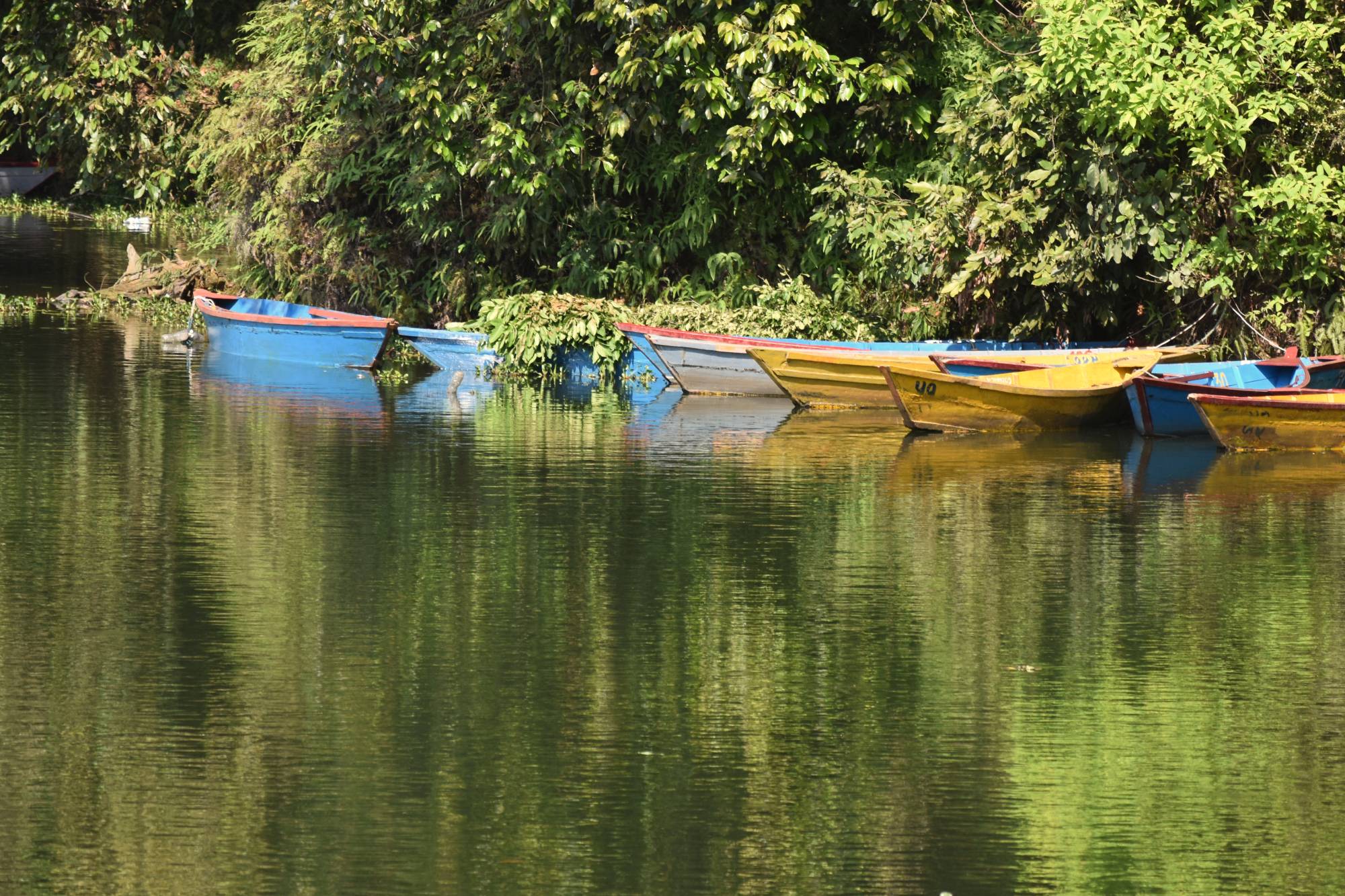 Boote